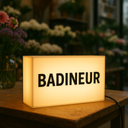 Boîte Lumineuse Extérieur En Plexiglass PMMA Personnalisable – Design Unique et Éclairage LED Haute Qualité pour Magasins et Bureaux