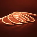 S92a3ed5b73844117bf3913f902527566r